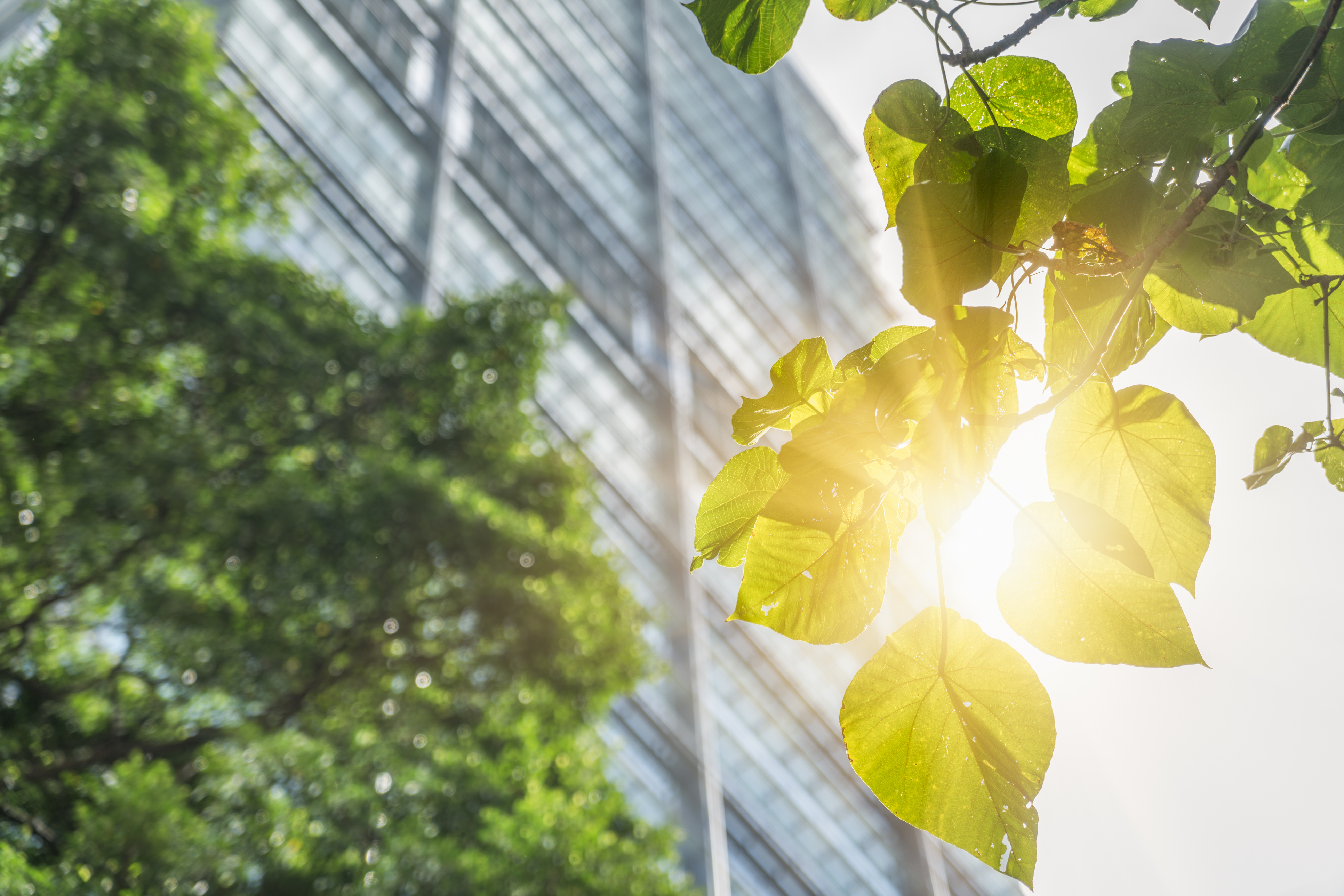 Immagine di intestazione della pagina InVue